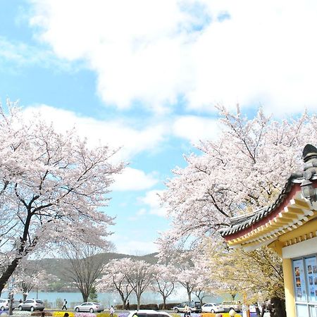 Corea Condo Кёнджу Экстерьер фото