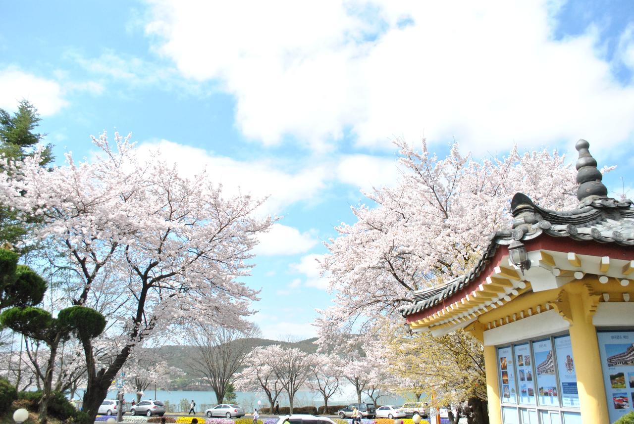 Corea Condo Кёнджу Экстерьер фото