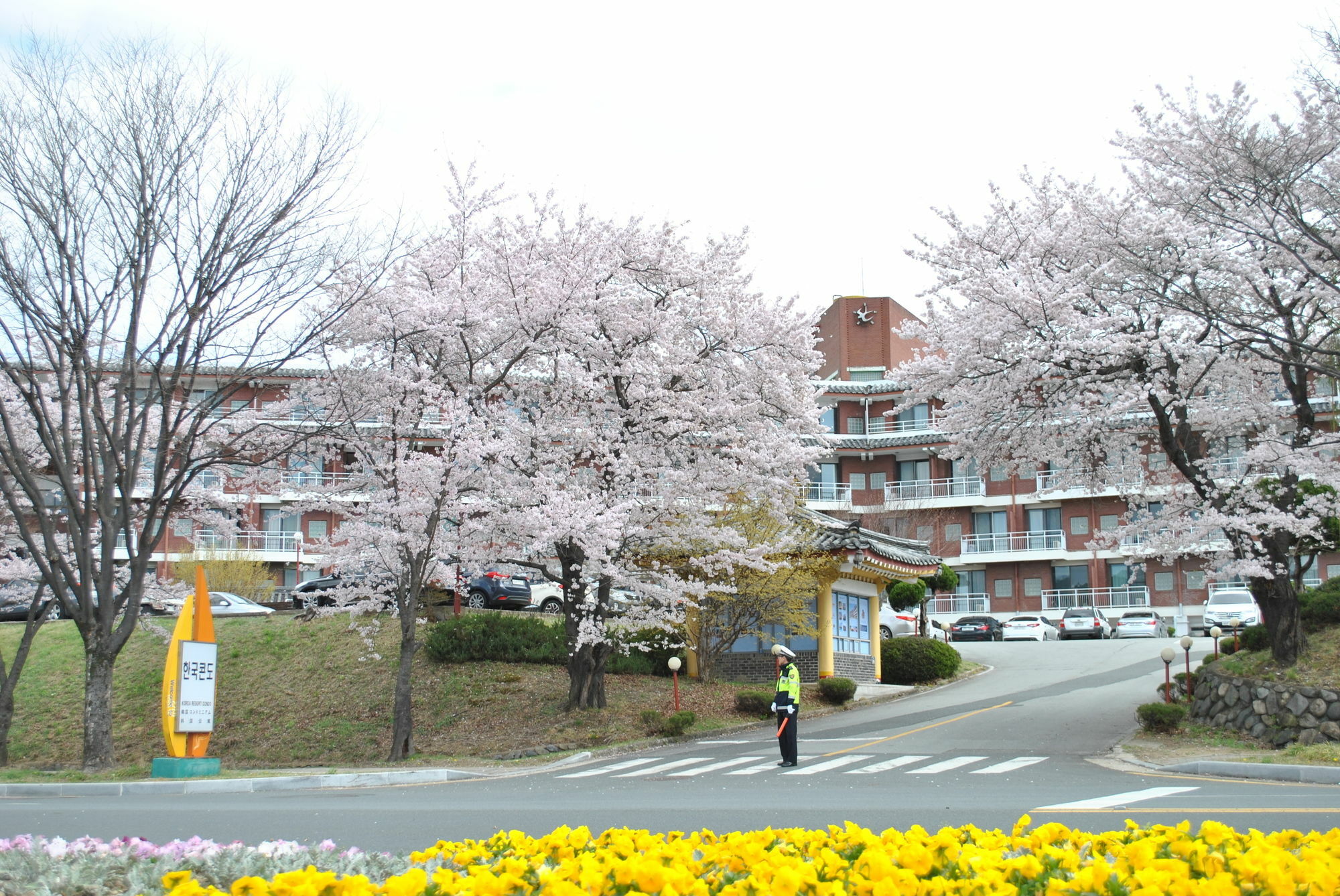 Corea Condo Кёнджу Экстерьер фото